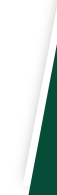 Bordure verte